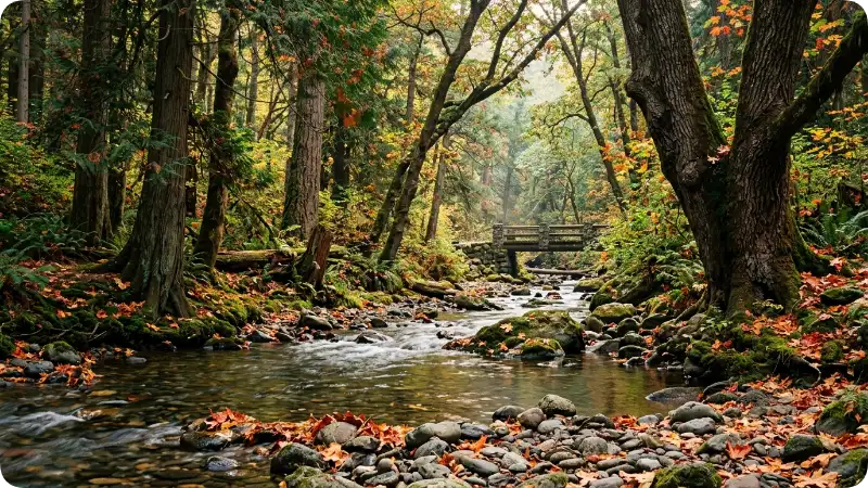 Brown Names Inspired by Nature